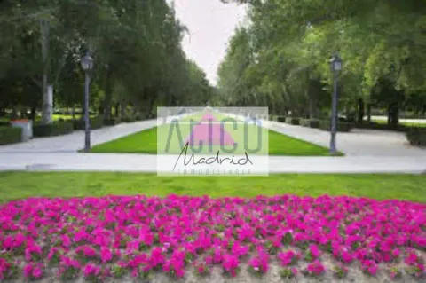 Квартира 312 м² в Мадриде