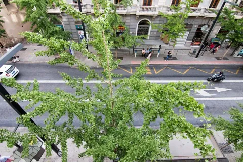 Pis de 95 m² a Granada