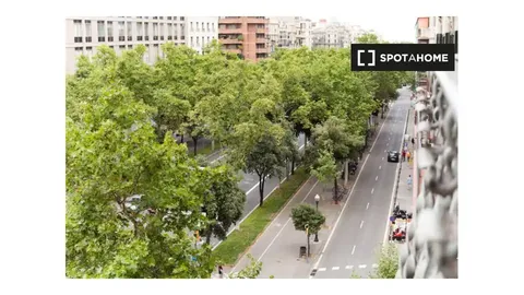 Habitació de lloguer, Barcelona
