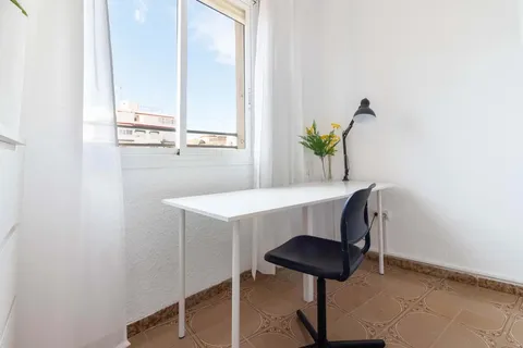 Habitació de lloguer, Alacant