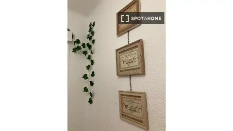 Quarto para alugar, Barcelona