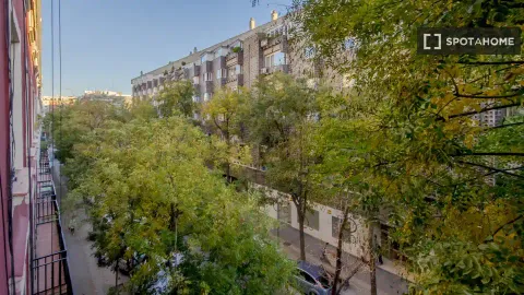 Кімната в оренду, Madrid