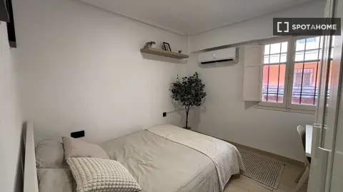 Pis de lloguer, València