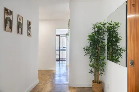 Habitació de lloguer, Parla