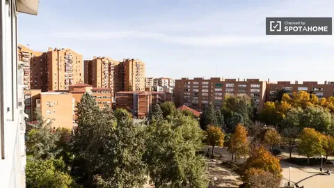 Habitació de lloguer, Madrid