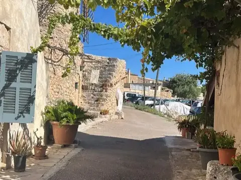 Habitació de lloguer, Sineu