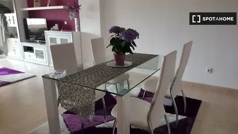 Habitació de lloguer, Alacant