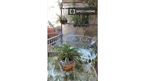 Habitació de lloguer, Barcelona