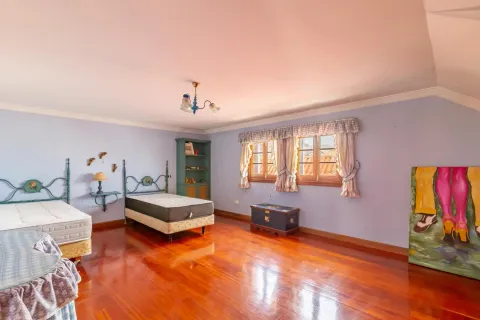 Habitació de lloguer, Las Palmas de Gran Canaria
