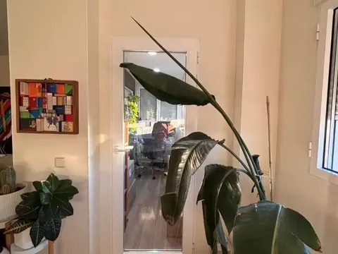 Wohnung 111 m² in Madrid