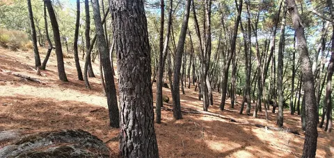 Pis de 57 m² a Lleida