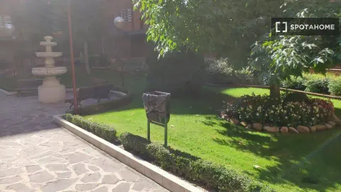Room for rent, Madrid