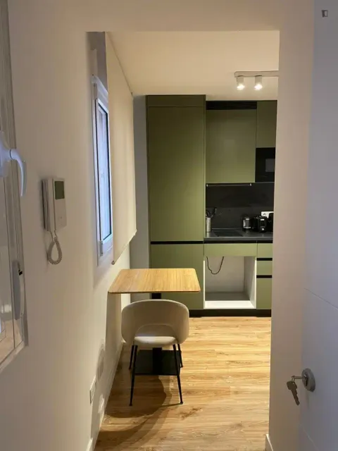 Pis de 23 m² a Madrid (4/5)