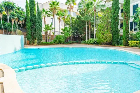 Wohnung 60 m² in Palma