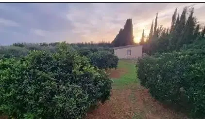 Casa de 110 m² a Binissalem