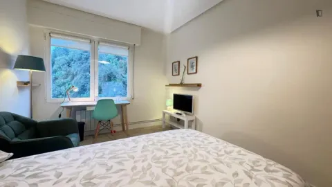 Habitació de lloguer, Bilbao