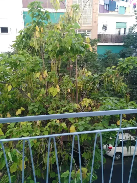 Pis de 62 m² a Cáceres