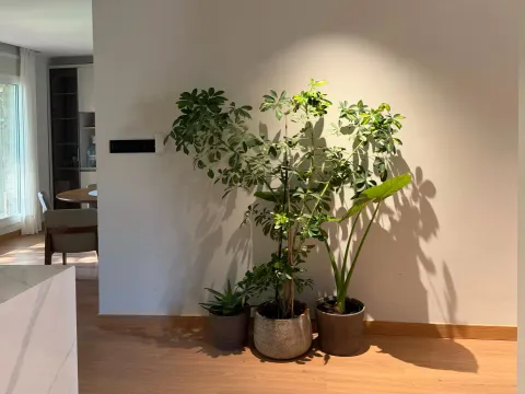 Appartement 160 m² à Barcelone