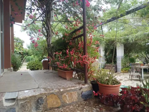 Stanza in affitto, Elx / Elche