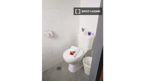 Stanza in affitto, Paterna