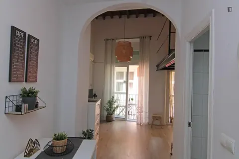 Pis de 33 m² a Màlaga