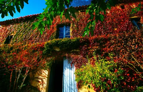 Casa de 1217 m² a Bordils
