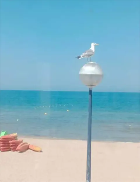 Pis de 70 m² a Miramar