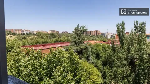 Habitació de lloguer, Madrid
