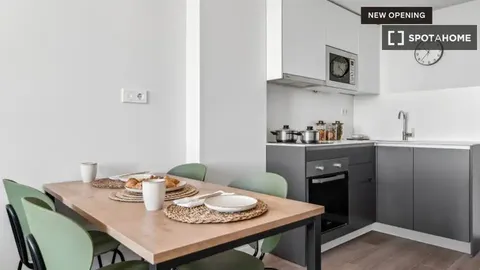 Appartamento in affitto, Madrid