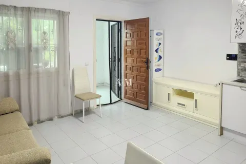 Casa de 40 m² en Torrevieja (3/10)