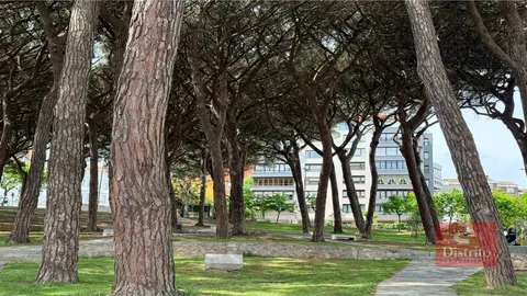 Pis de 175 m² a Santander