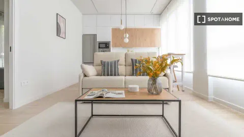 Pis de 50 m² a Madrid