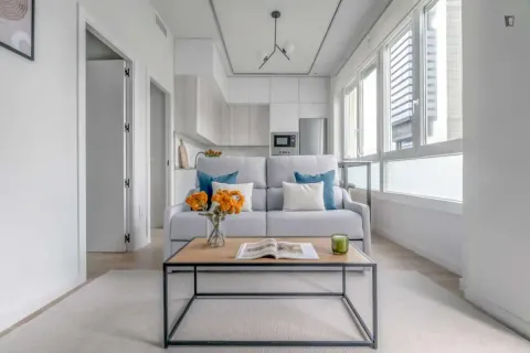 Flat 50 m² in Madrid