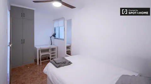 Stanza in affitto, Valencia