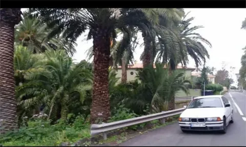 Habitació de lloguer, Las Palmas de Gran Canaria