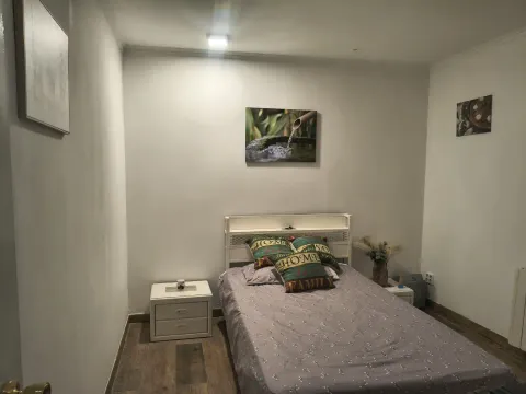 Habitació de lloguer, Barberà del Vallès (3/3)