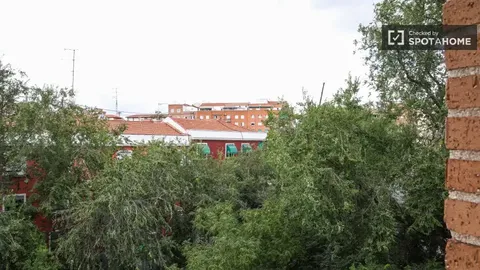 Zimmer zur Miete, Madrid