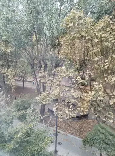 Pis de 37 m² a Gijón