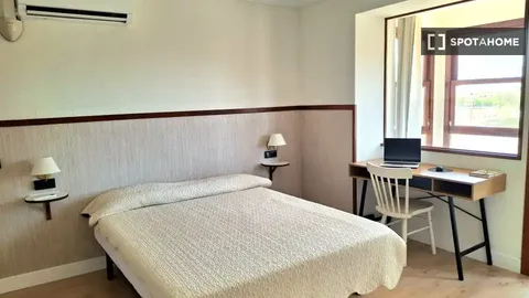 Habitació de lloguer, Palma