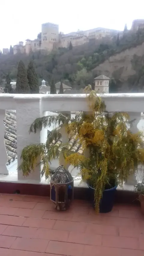 Appartamento 90 m² a Granada (2/5)
