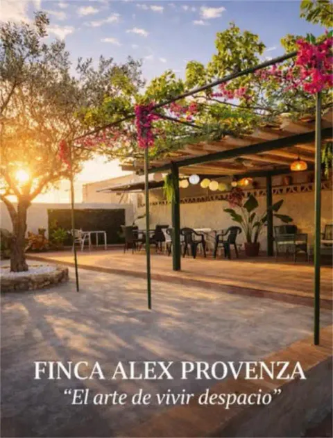 Maison 600 m² à Riba-roja de Túria (4/7)