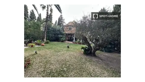 Habitació de lloguer, Alacant