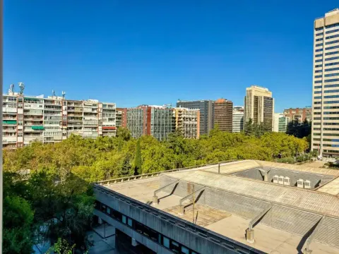 Pis de 187 m² a Madrid (4/28)