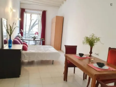 Pis de 27 m² a Barcelona