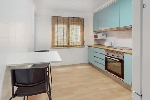 Habitació de lloguer, Elx