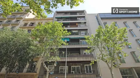 Habitació de lloguer, Barcelona