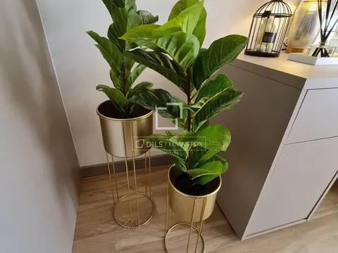Casa de 323 m² a Bétera