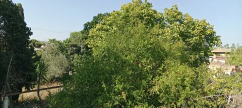 Habitació de lloguer, la Pobla de Vallbona