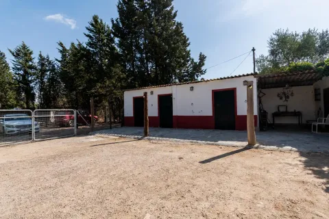Maison 466 m² à Xérès