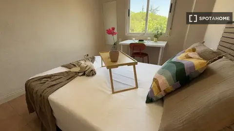 Zimmer zur Miete, Madrid